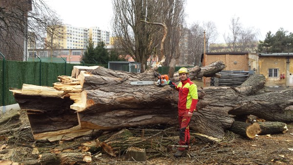 Kácení s přetažením