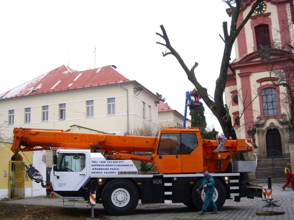 Postupné kácení s využitím jeřábu